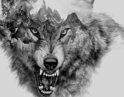 Wolf Collage | printed tee design for Zara on Behance