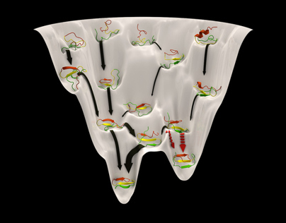 Protein Folding Funnel