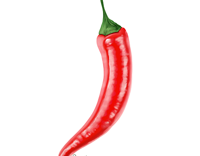 Pepper realistic drawing (food ilustration)