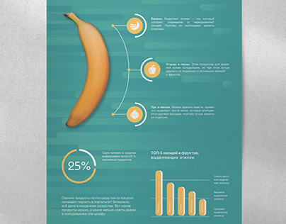 Плакат-инфографика "Соседи по хранению"