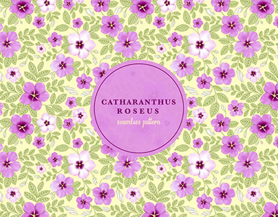 Catharanthus Roseus