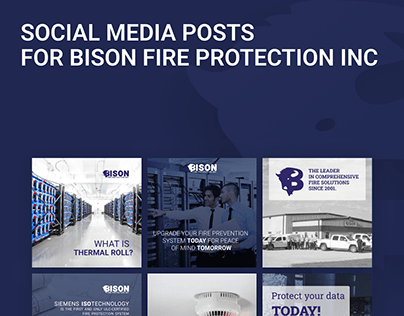 Social media post design for Bison Fire Protection