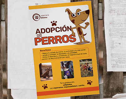 Flyer - afiche adopción de perros