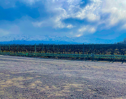 Cordillera Desde Rutini Wines