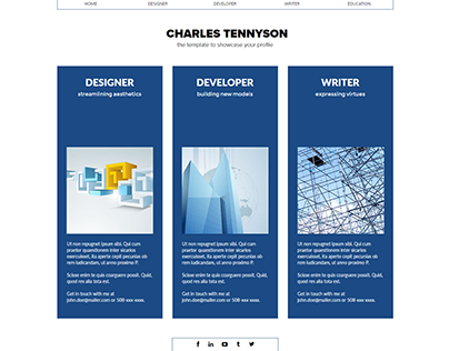 Conjecture Functional Resume Website Concept