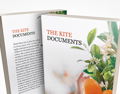 Project thumbnail - The Kite Documents Book Cover Design
