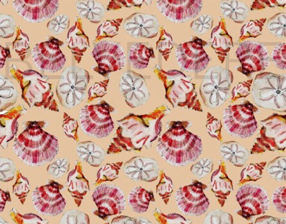 Shell home pattern