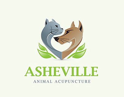ASHEVILLE ANIMAL ACUPUTURE