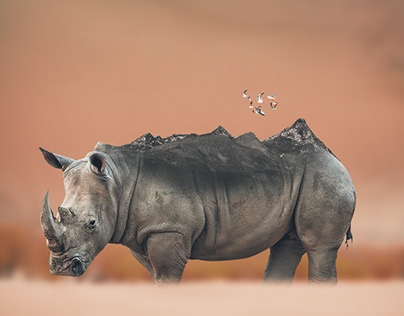 Save Rhino Campaign