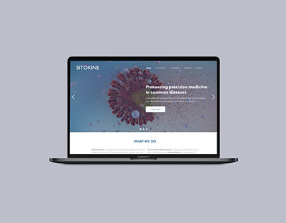 Sitokine. Website design