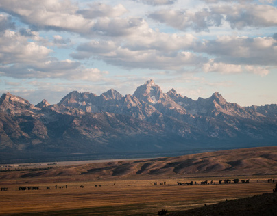 Montana Trip 2013