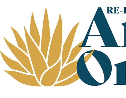 House of Representatives Campaign Logo