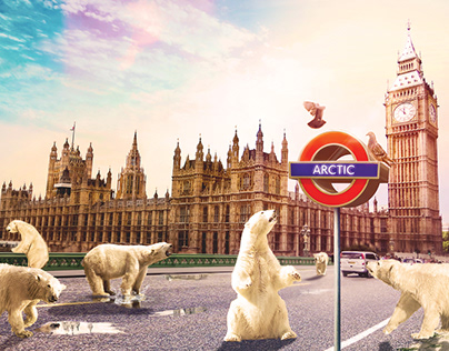 Polar bears in London