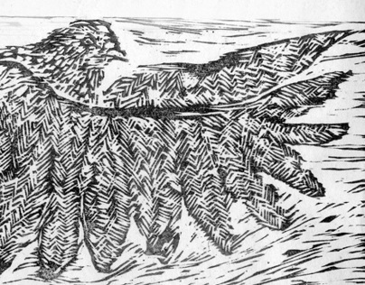 Woodcut Printing of a Pidgeon