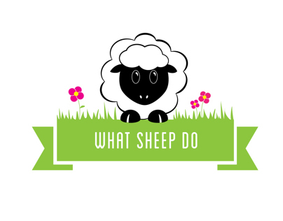 What Sheep Do