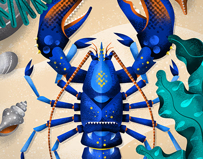 Blue lobster, animal illustration
