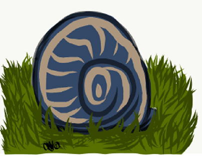snail in gras