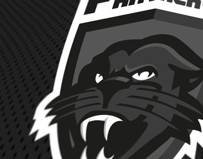 AMSTERDAM PANTHERS RE-DESIGN