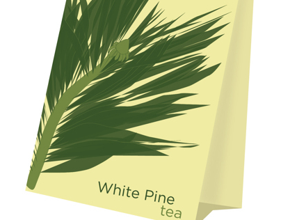 White Pine Tea