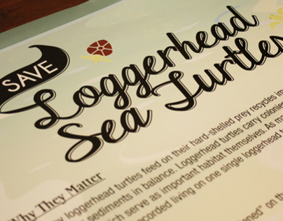 Save Loggerhead Sea Turtles