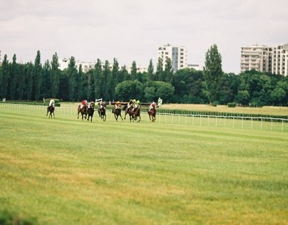 Horses races