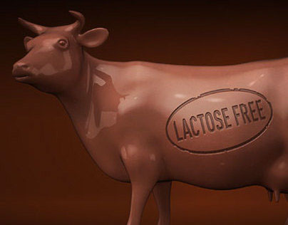 Lactose free chocolate