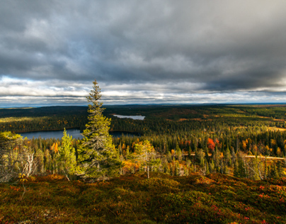 Autumn in Lapland