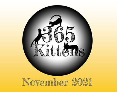 November Basket of Kittens