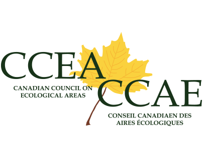 CCEA Organization Branding