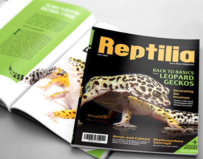Reptilia Magazine Class Rebrand