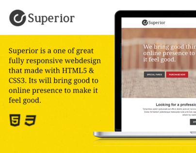 Superior - Multipurpose Responsive HTML5 Template