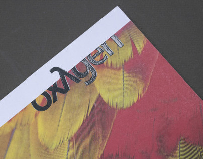 oxygen magazine - sudamerica