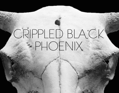 Crippled black phoenix poster