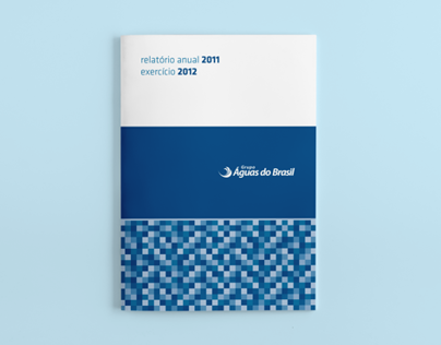 Águas do Brasil  |  Annual Report 2011