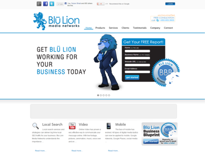 Blu Lion Media Networks