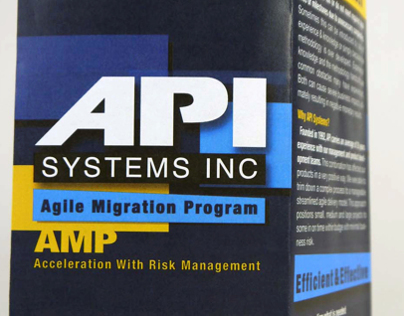 API Systems INC. Projects