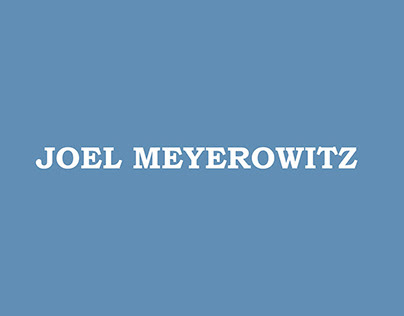 JOEL MEYEROWITZ RESEARCH