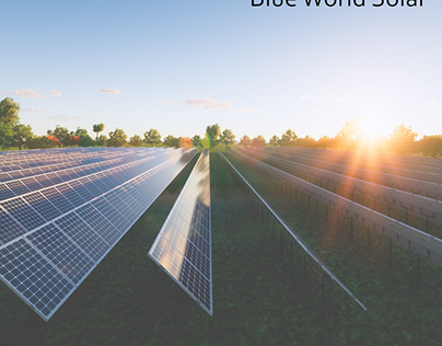 Solar Panel Installation Cost | Blue World Solar