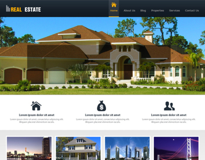 Real Estate Website Design with other projects