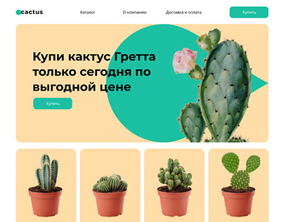 Дизайн сайта для компании, производящей кактусы
