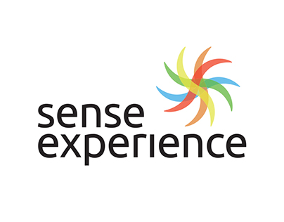 Sense Experience