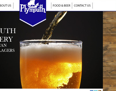 Plymouth Website