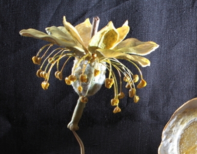 Fragonard's flower