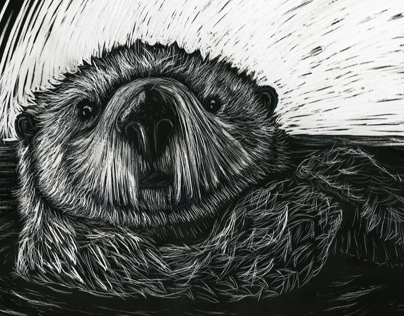 Otter Illustration