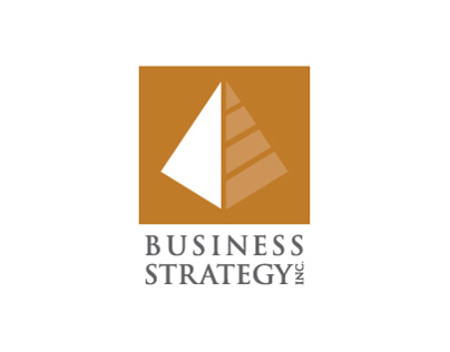 Business Strategy Inc.
