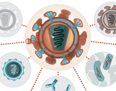 HIV virus structure, vaccine design illustrations