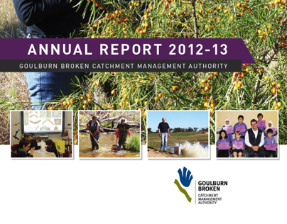 GBCMA Annual Report 2013