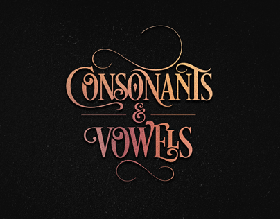 Consonants & Vowels