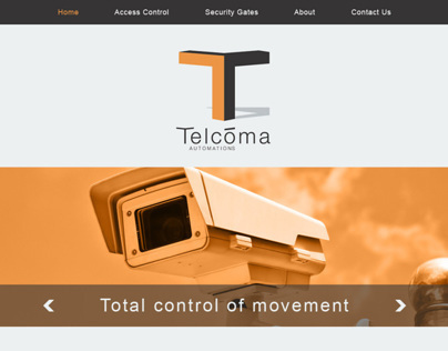 Website design for Security Systems
