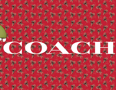 Project thumbnail - Coach On The Move